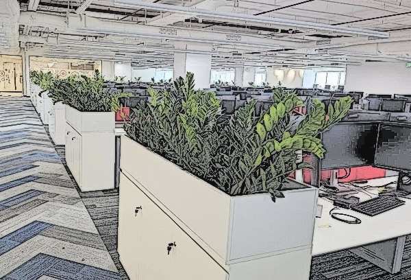 5 Resilient Botanical Species for Deep-Floor Tech Campuses