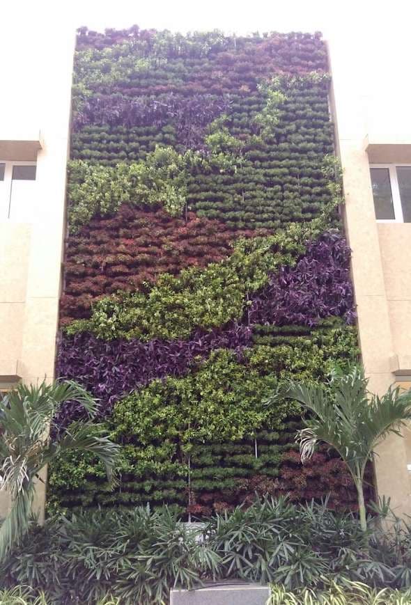 Engineered Interior Living Walls detail photographic vista 3