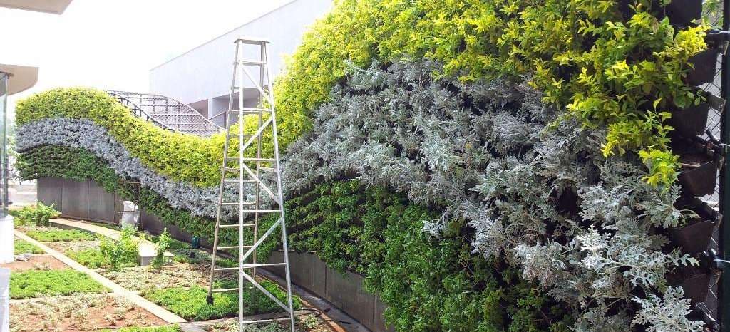 Engineered Interior Living Walls detail photographic vista 2
