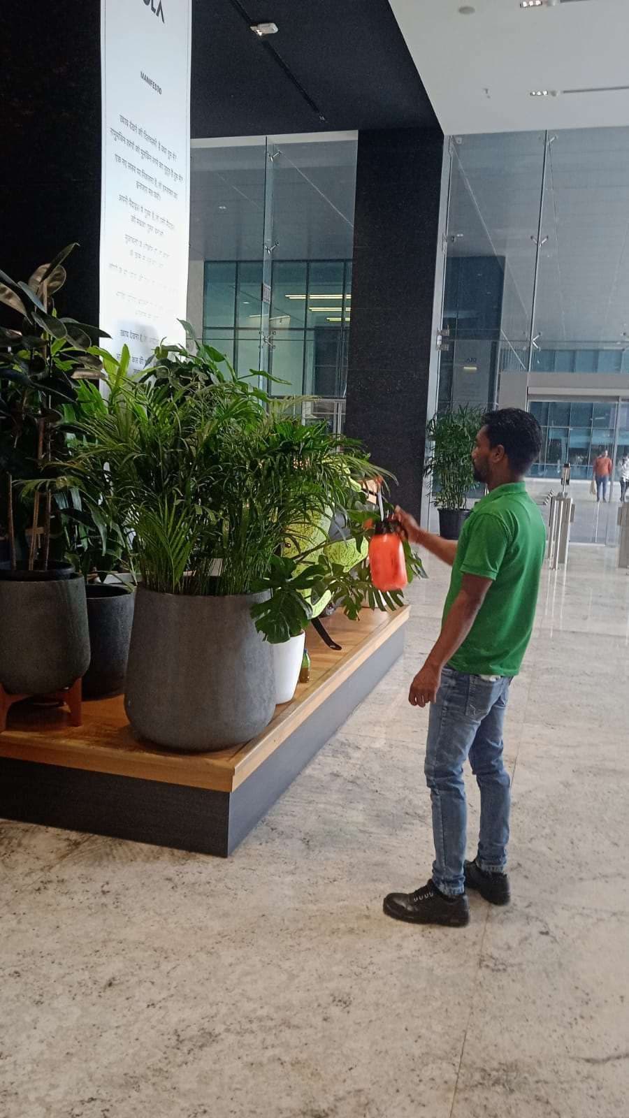 ANI Technologies (Ola) Corporate Headquarters detail photographic vista 2