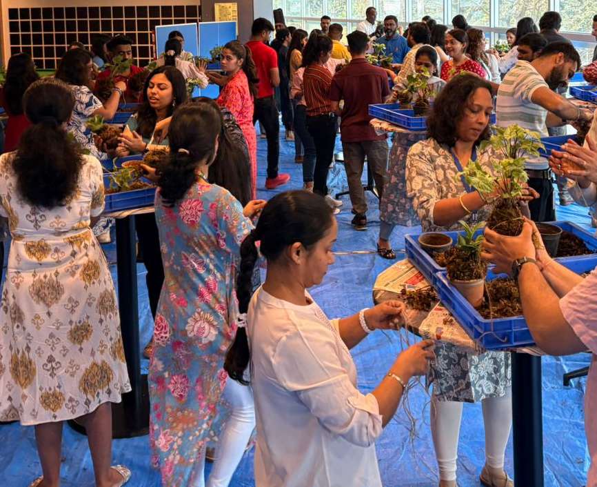 Corporate Workshops & Greening Events