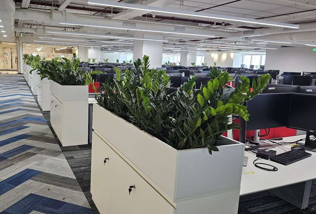 Corporate Landscaping & Workspace Biophilia