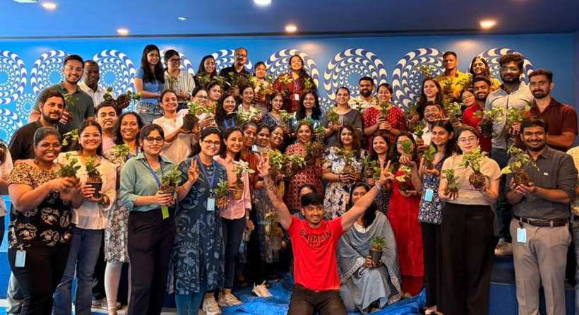 Corporate team planting workshop by Star Gardens